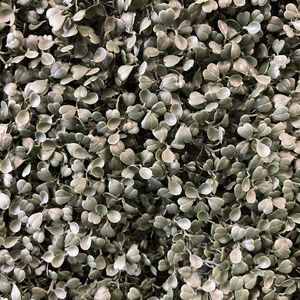 Meet your Posher, Selma